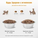 Сухой полнорационный корм будь здоров Живая Сила для взрослых собак всех пород с уткой, крупная гранула 10 кг