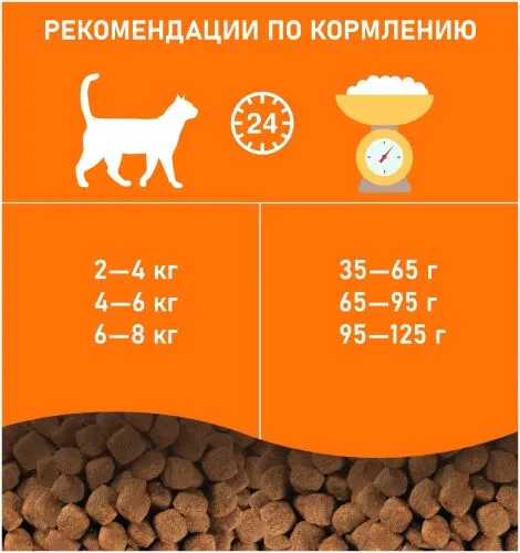 Будь Здоров сухой полнорационный корм для взрослых кошек с 1 года, с рыбой. 1 кг
